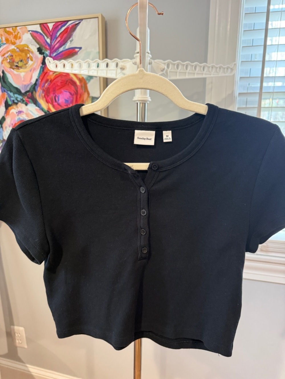 Sunday Best (Aritzia brand) Black Ribbed Henley Crop Top